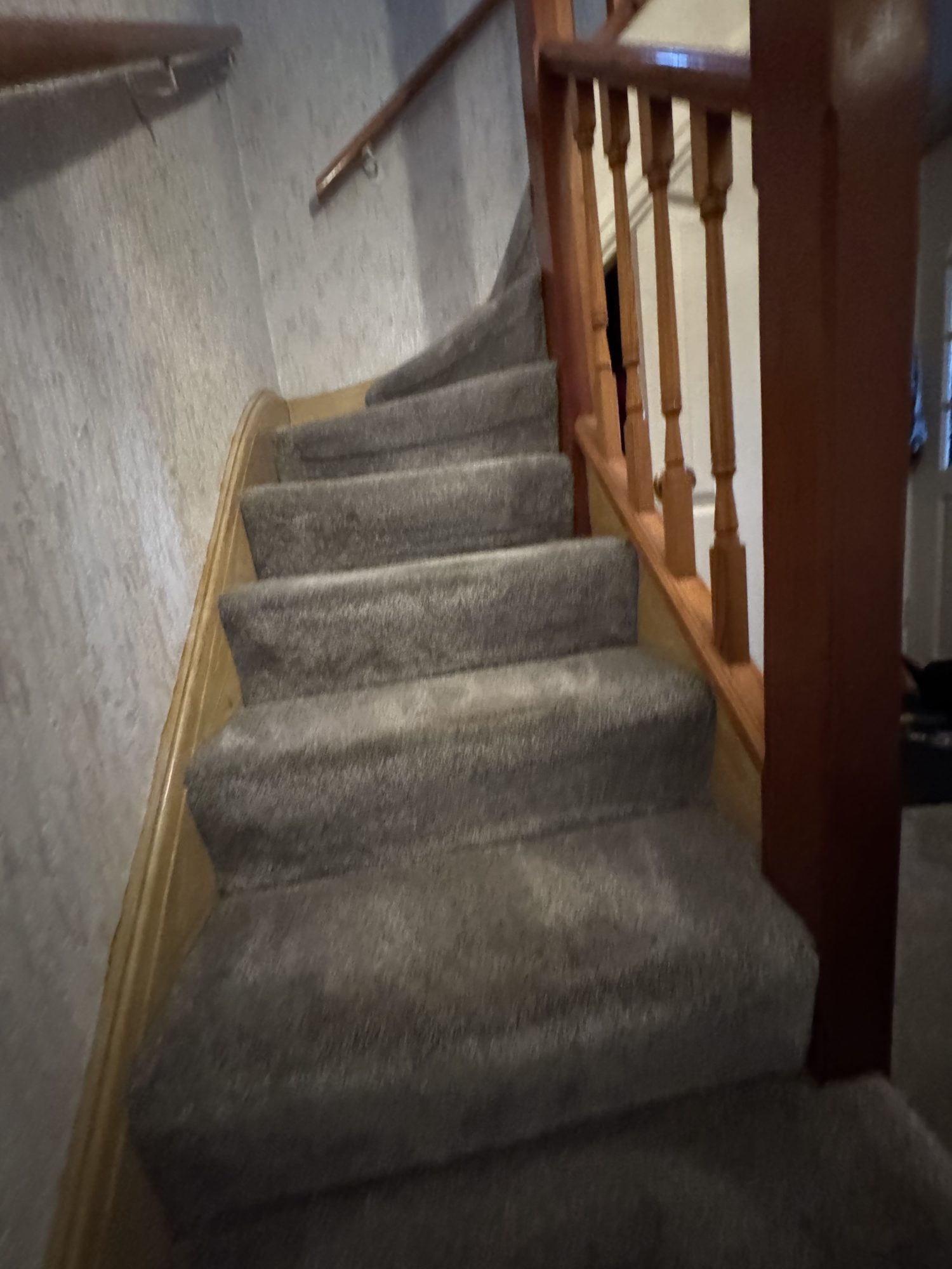 Cleaning Services
