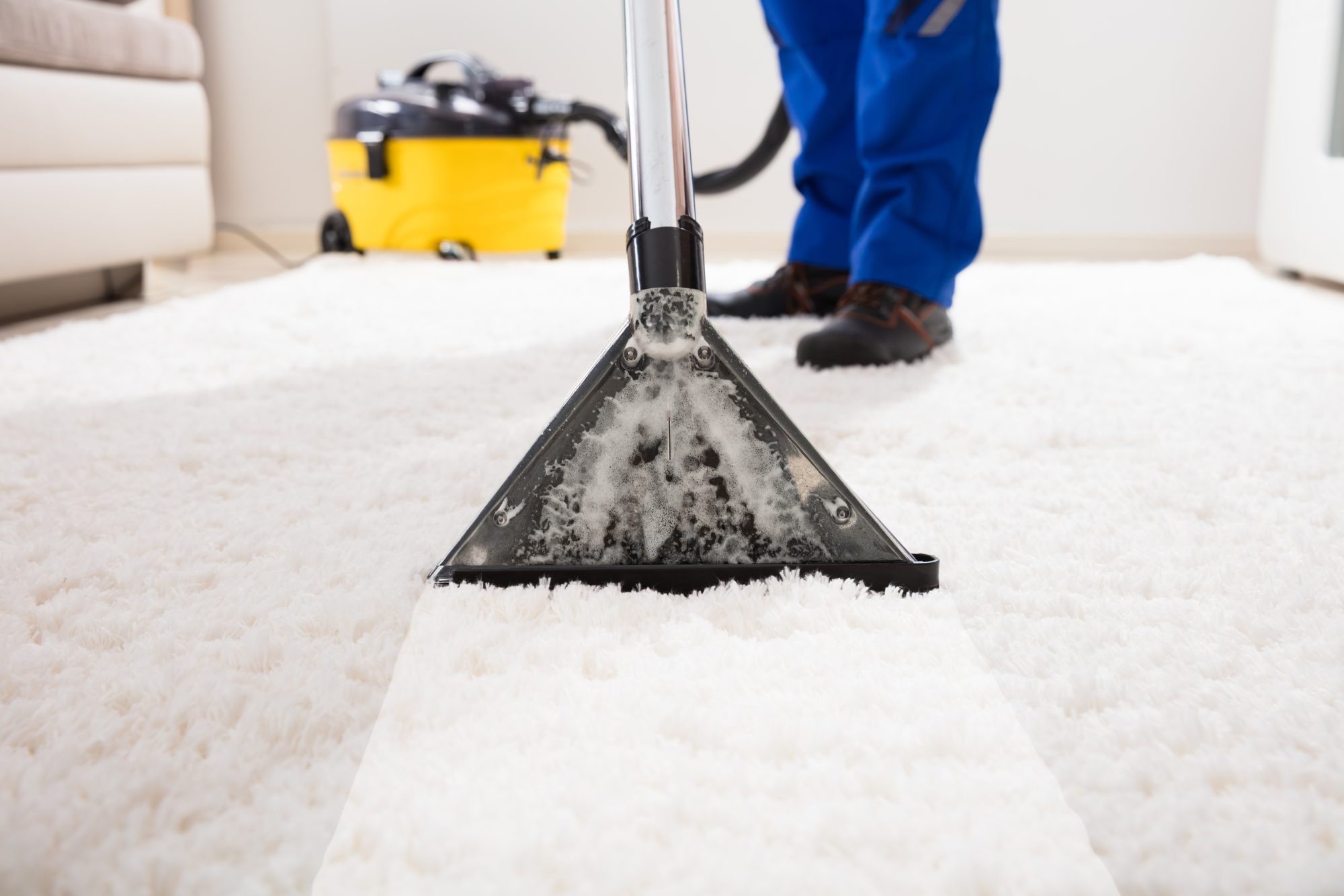 Cleaning Services
